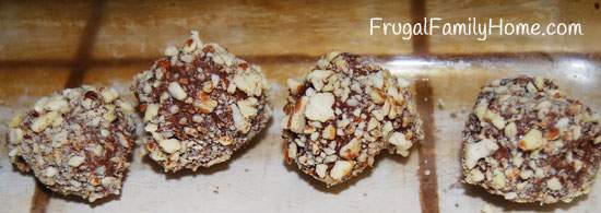 Truffle-Rolled-In-Almonds