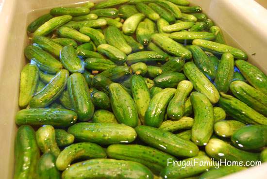 Cucumber bath