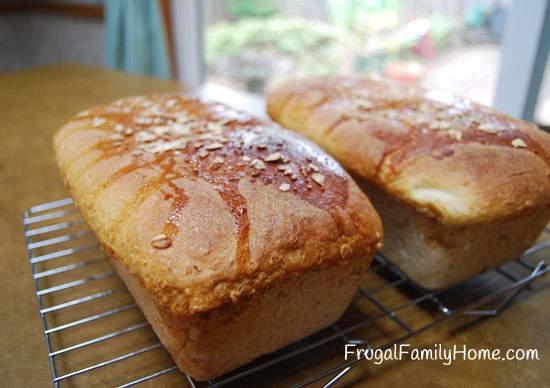 Yummy Honey Oat Bread