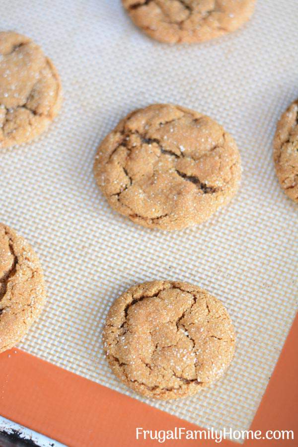 Soft baked gingersnap cookies from scratch. Make these soft and delicious gingersnap cookies to enjoy for dessert, pack into your kid's lunches, or give as a gift. They are easy to make and you can freeze the dough until later too.