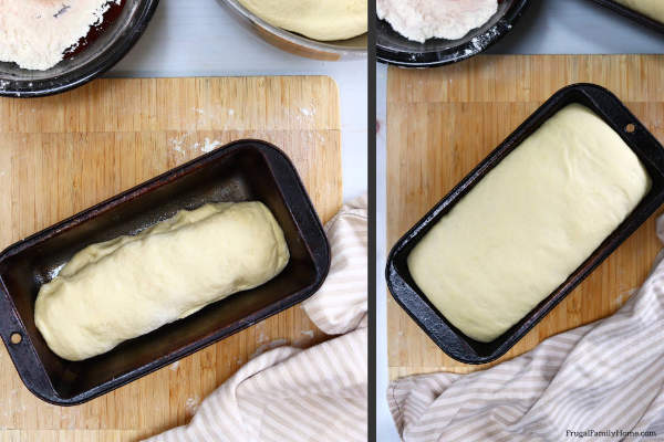 bread rising in loaf pans almost ready to bake