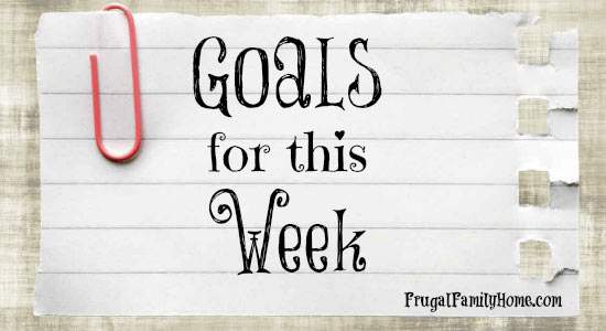 Goals for this Week, February 23rd