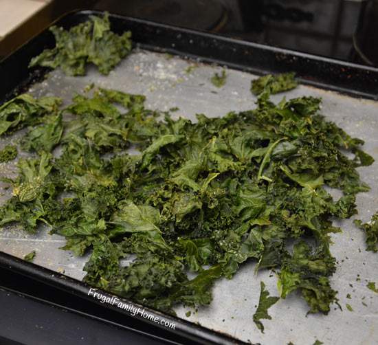 Evening Snack Kale