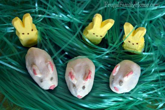 Bunny Truffles made from brownies, great for Easter baskets