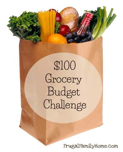 Budget my shop food bag