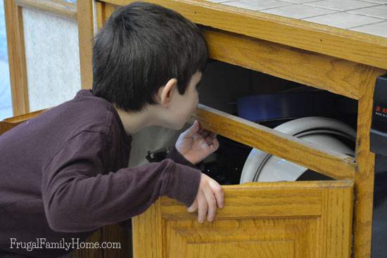 Wondering what's in the cupboard