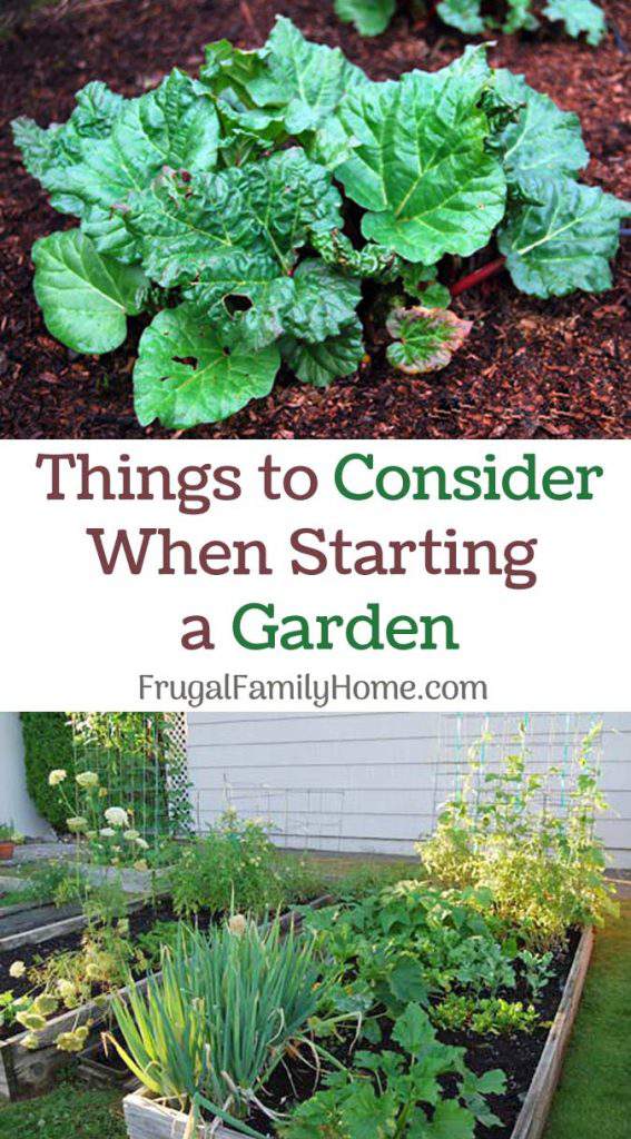 A few ideas you'll want to consider when you are starting a garden.