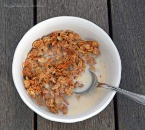 Ways to Save Money, Make Your Own Granola | Frugal Family Home
