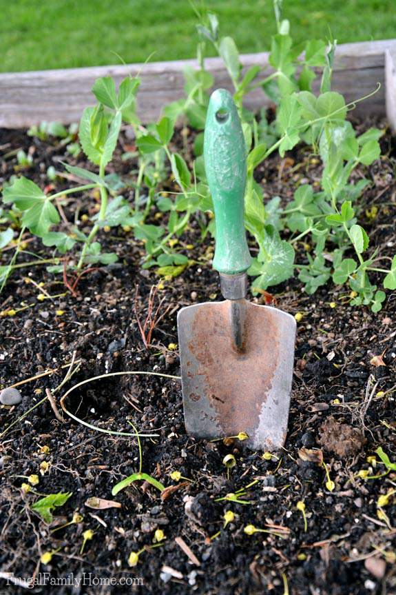 A hand shovel is a must have gardening tool.