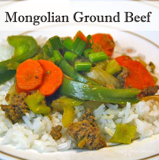 Mongolian Ground Beef Stir Fry