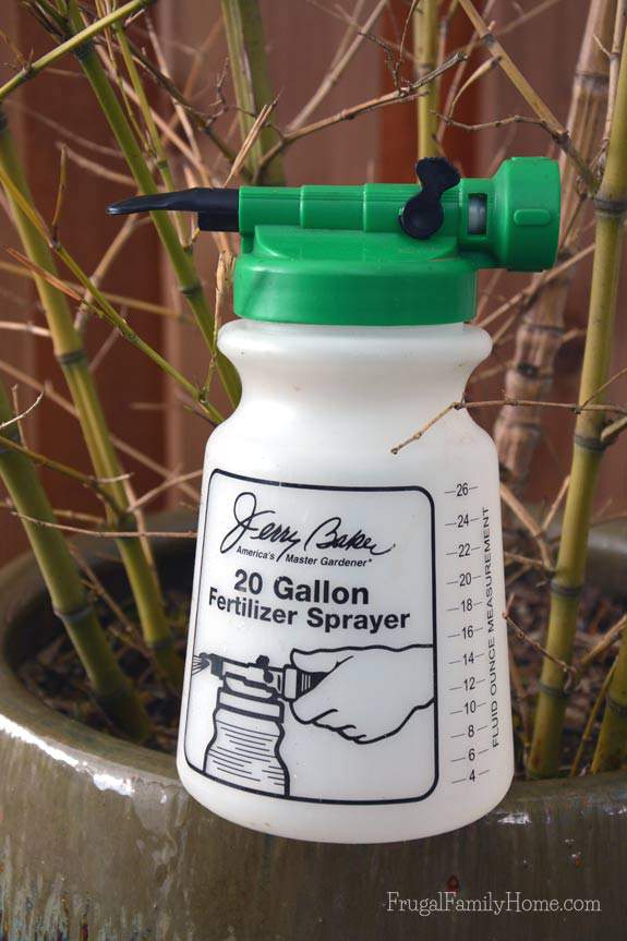 The yard sprayer I use to add my homemade tonics to the garden.