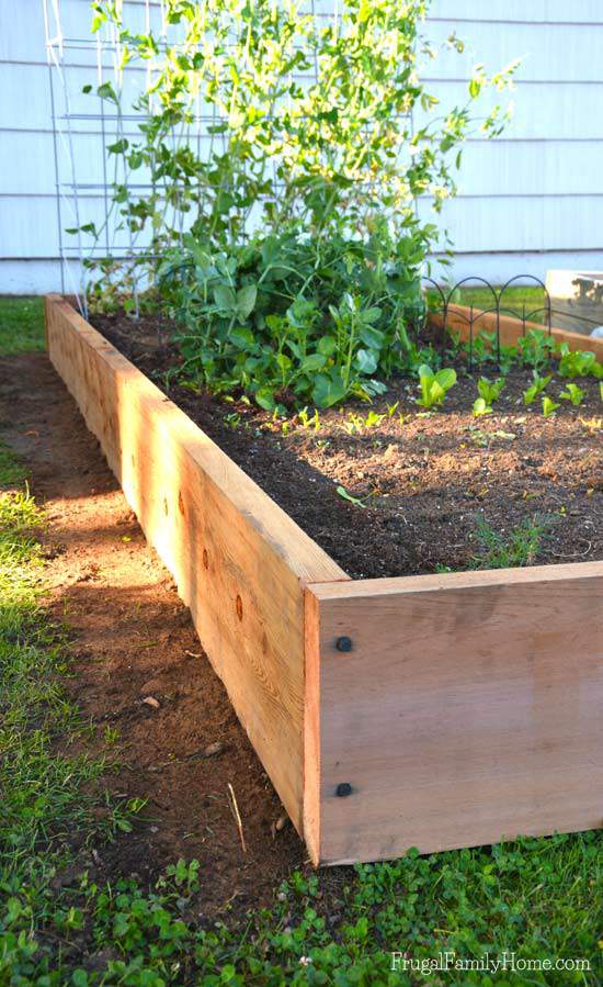 Building raised beds with cedar