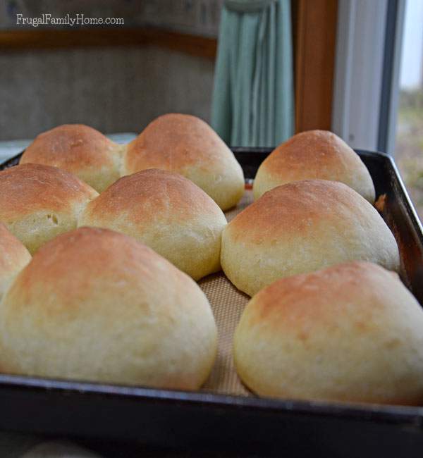 Homemade Hamburger Buns