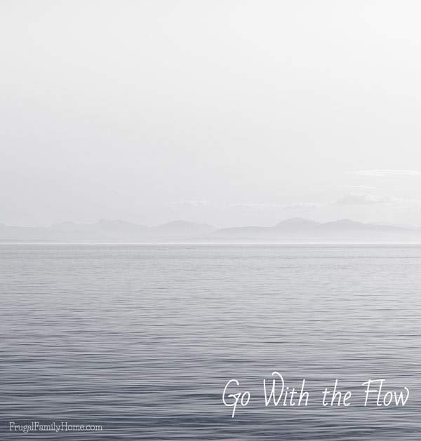 Go-With-the-Flow