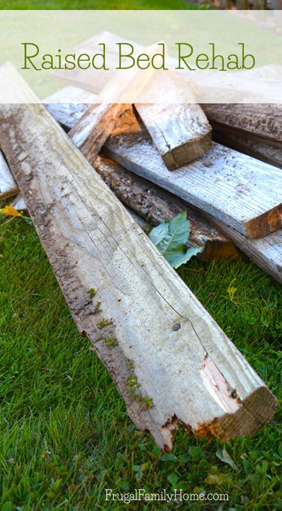 Raised Bed Rehab