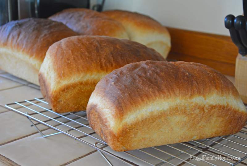 Homemade bread recipe