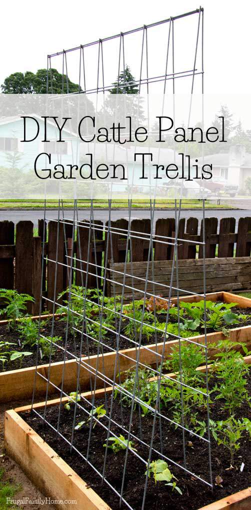 Diy Garden Trellis Frugal Family Home, How To Build A Garden Trellis For Beans