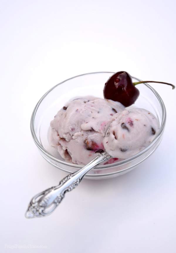 Dairy Free Cherry Chocolate Chip Ice Cream, Cooking with Almond Milk