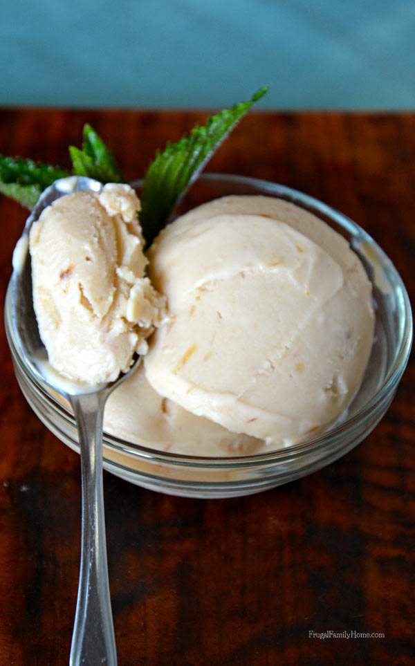 How to make roasted rhubarb dairy free ice cream, Frugal Family Home