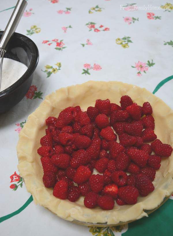 Yummy Raspberry Pie filled with berries | Frugal Family Home