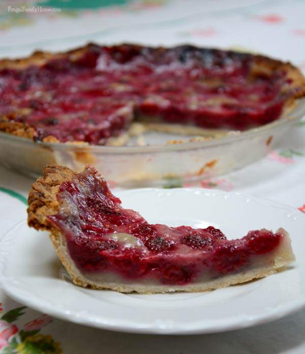 Raspberry Cream Pie - Together as Family