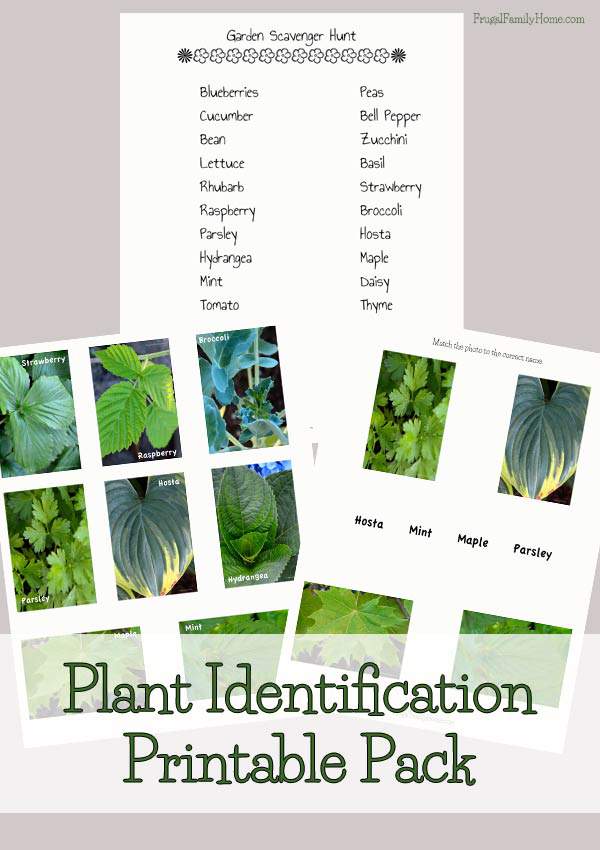 Free Plant Identification Printable Pack | Frugal Family Home