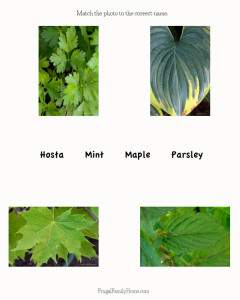 Free Printable Plant Matching Game | Frugal Family Home