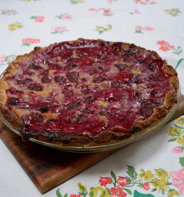 Homestyle Baked Goodness, Raspberry Cream Pie | Frugal Family Home