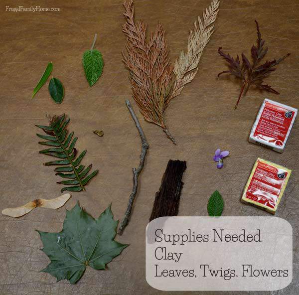 The few supplies you will need to make nature impressions with your kids | Frugal Family Home