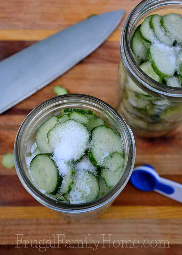 Easy Refrigerator Pickles, ready in just a few hours | Frugal Family Home