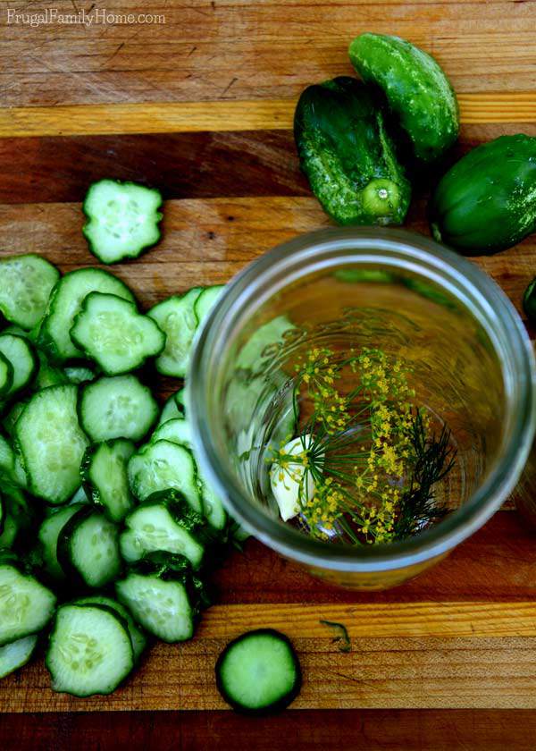 Just a few ingredients are needed to make these delicious dill pickles | Frugal Family Home