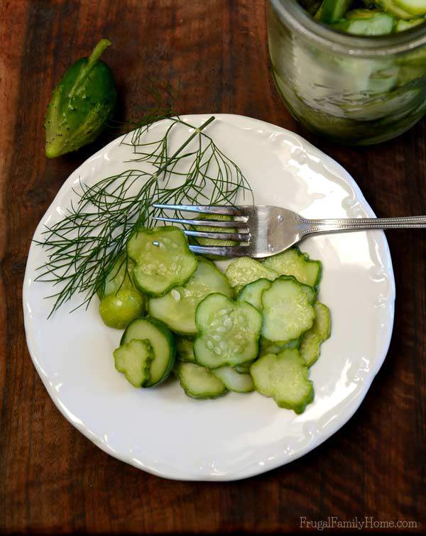 Yummy refrigerator dill pickles | Frugal Family Home