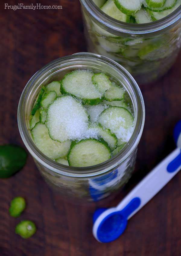 Refrigerator Dill Pickles | Frugal Family Home
