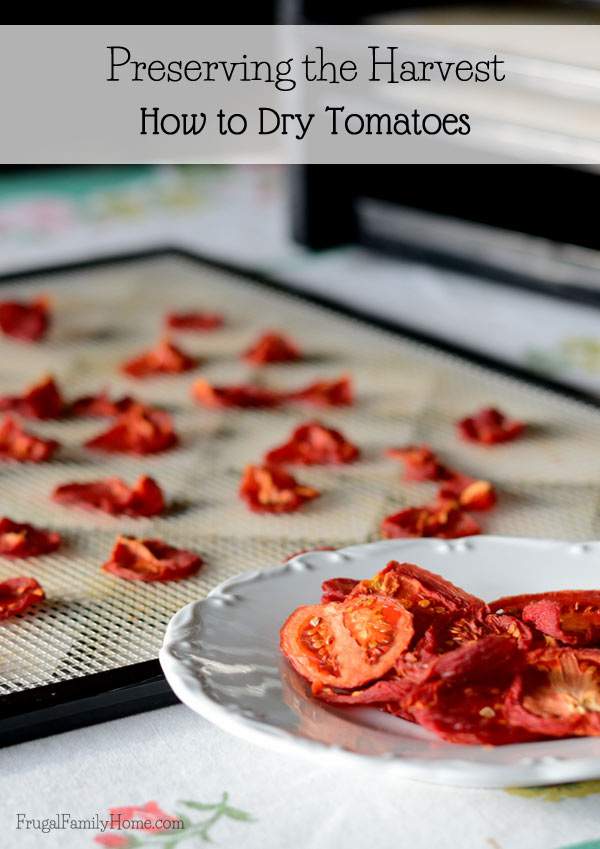 How to dry tomatoes to preserve them to use later | Frugal Family Home