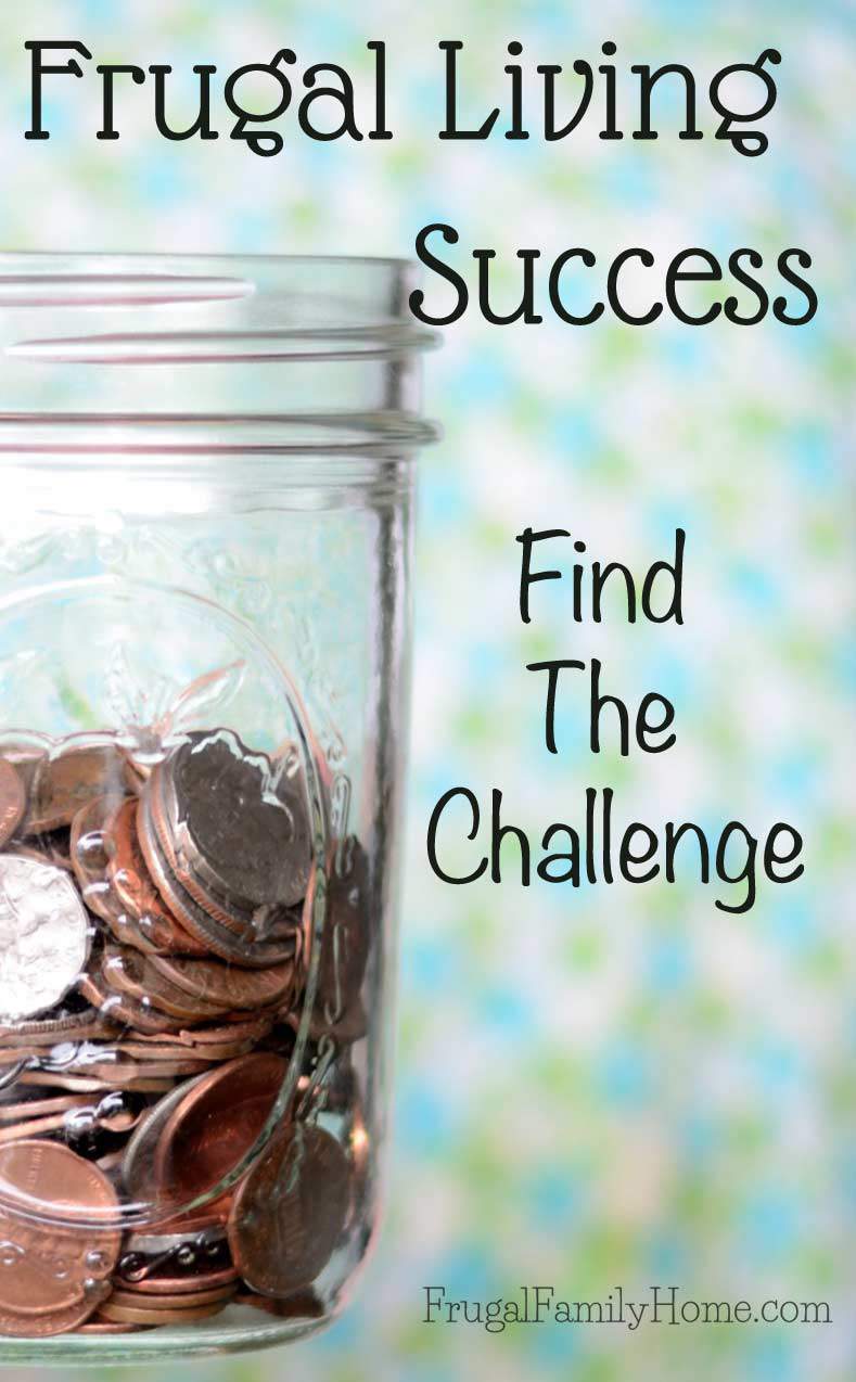 Frugal Living Success, Find the Challenge