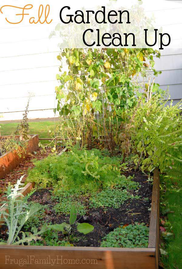 Fall Garden Clean Up | Frugal Family Home