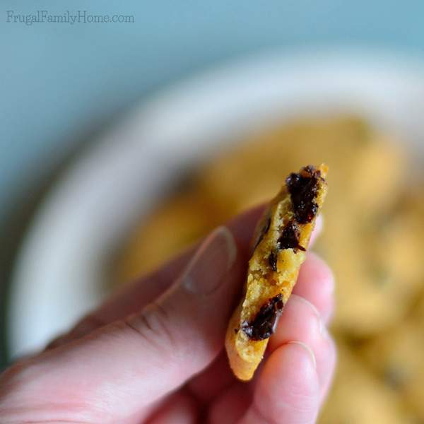 A truly chewy pumpkin chocolate chip cookie. 