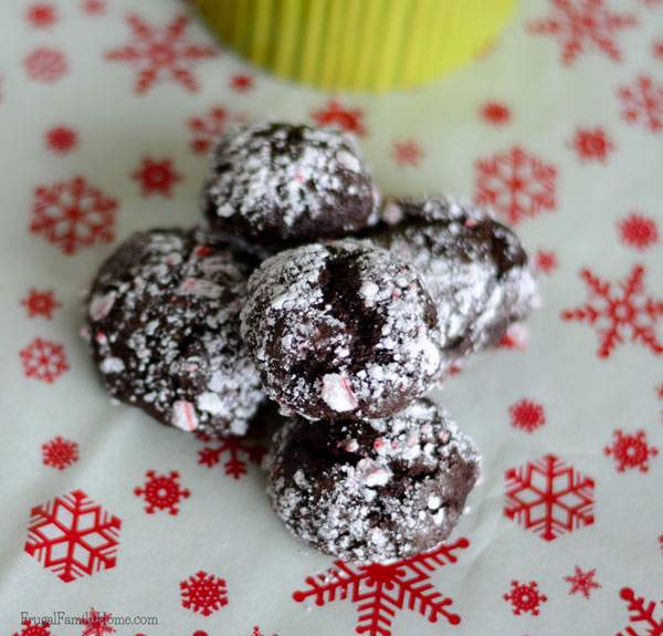 Chocolate Mint Crinkle Cookie Recipe