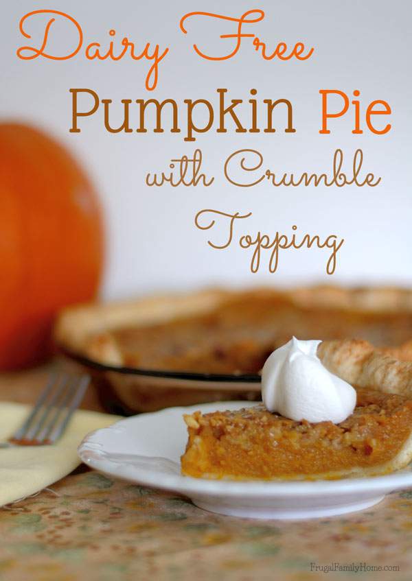 Delicious Dairy Free Pumpkin Pie Recipe | Frugal Family Home