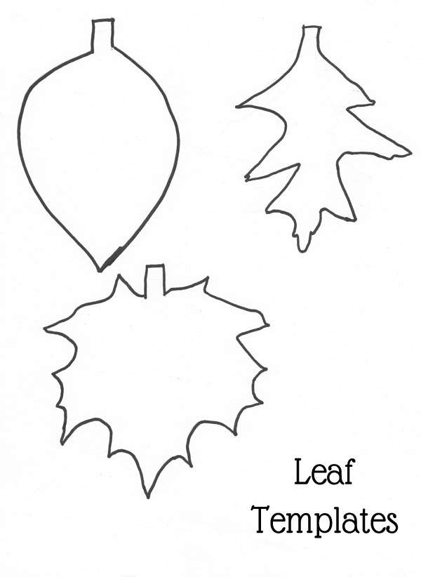 Leaf-Template