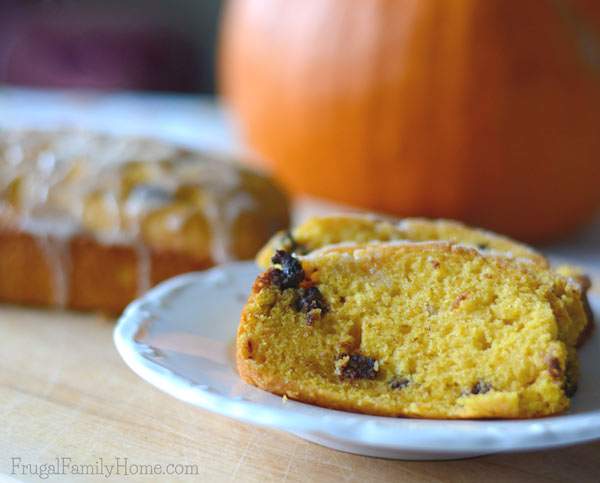 Chocolate Chip Pumpkin Bread Recipe | Frugal Family Home