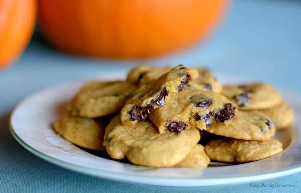 Melty, yummy pumpkin chocolate chip cookies |Frugal Family Home