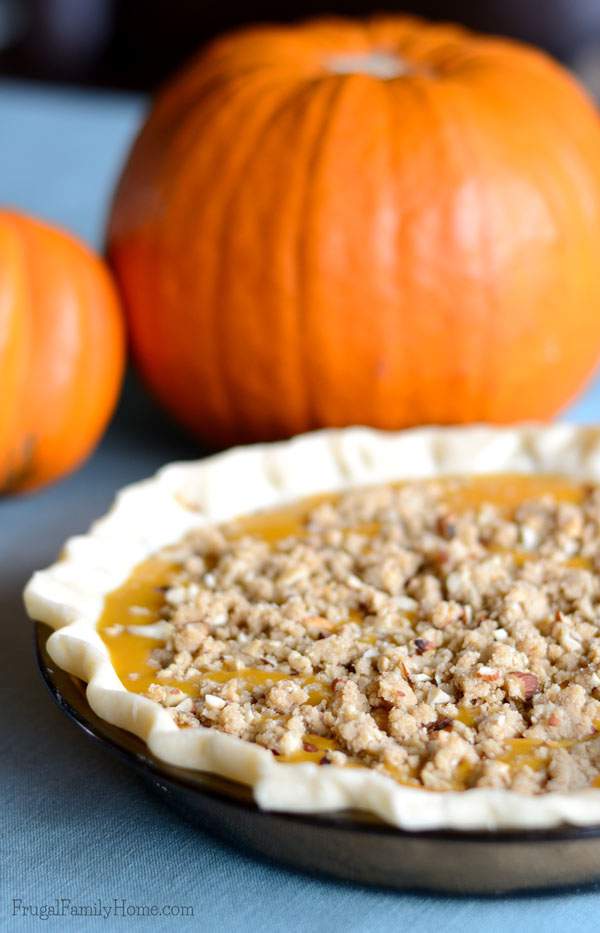 Vegan Pumpkin Pie with Crumble Topping | Frugal Family Home