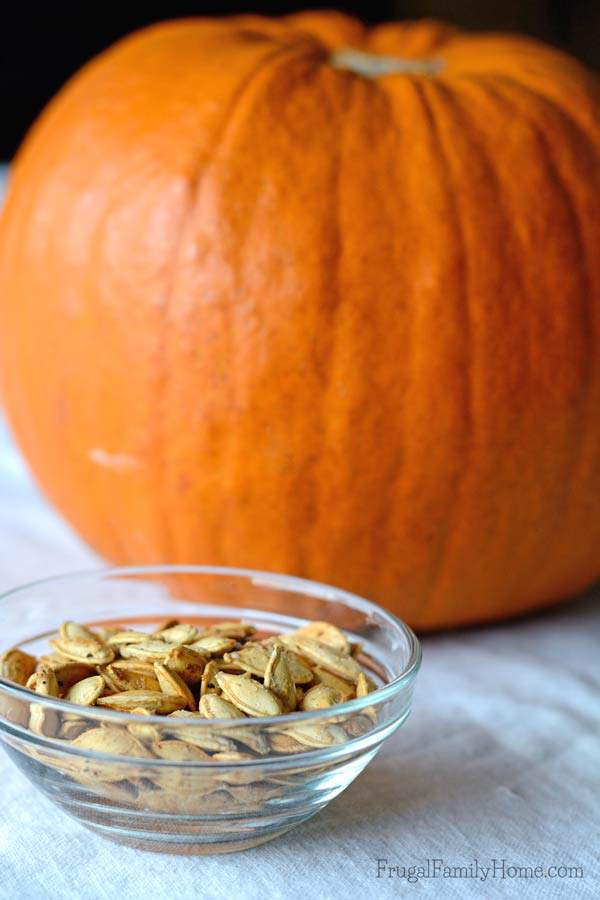 Easy to make roasted pumpkin seeds | Frugal Family Home