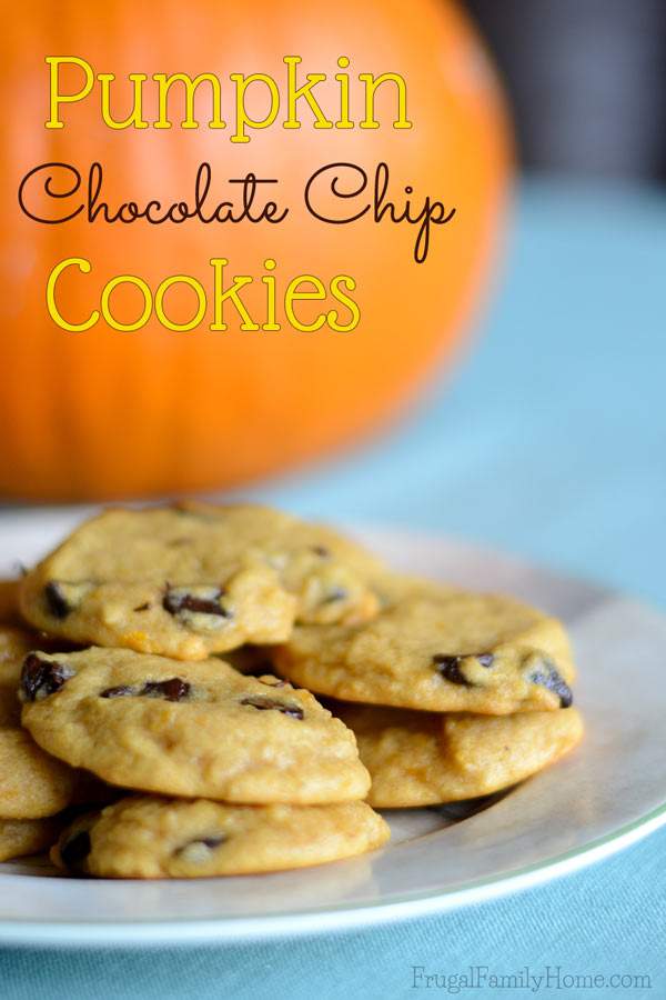 Chewy not cakey chocolate chip cookies with pumpkin | Frugal Family Home