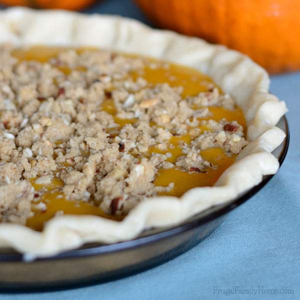 Crumble Topped Pumpkin Pie that's Dairy Free Too | Frugal Family Home
