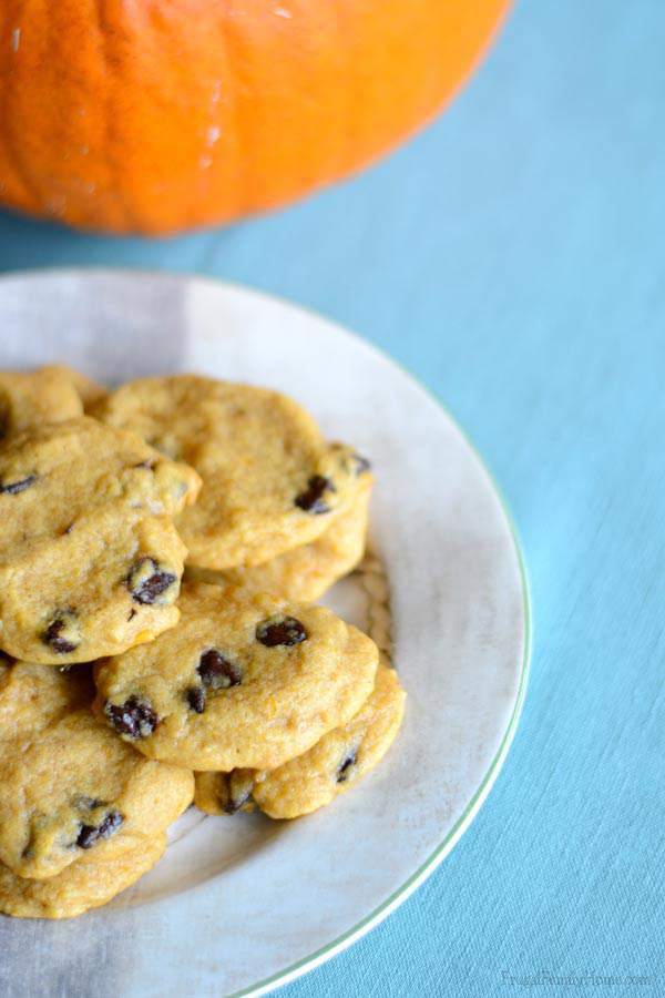 Yummy pumpkin chocolate chip cookies | Frugal Family Home
