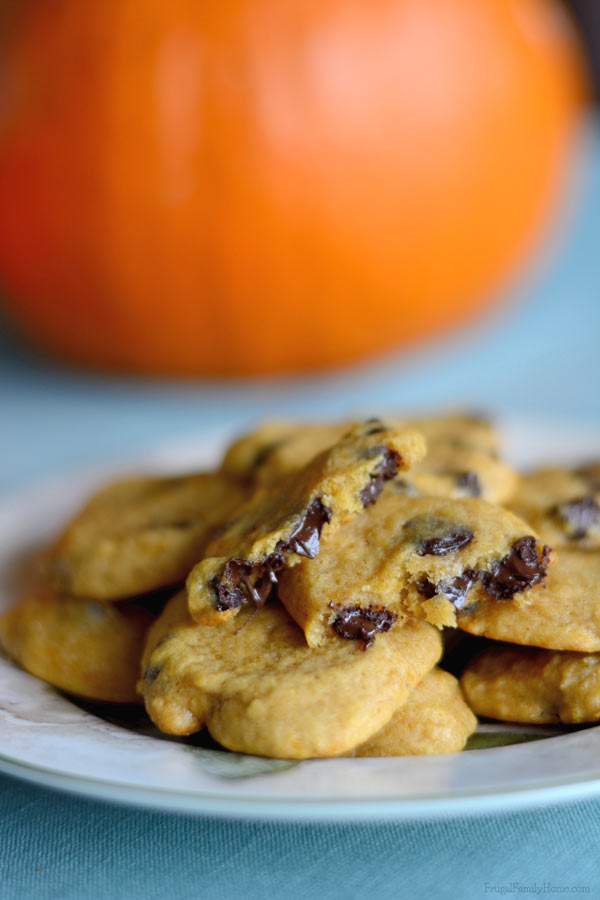 Yummy chewy chocolate chip cookies with pumpkin | Frugal Family Home