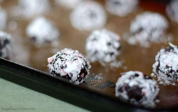 Mint and chocolate cookies that are great for gift giving | Frugal Family Home