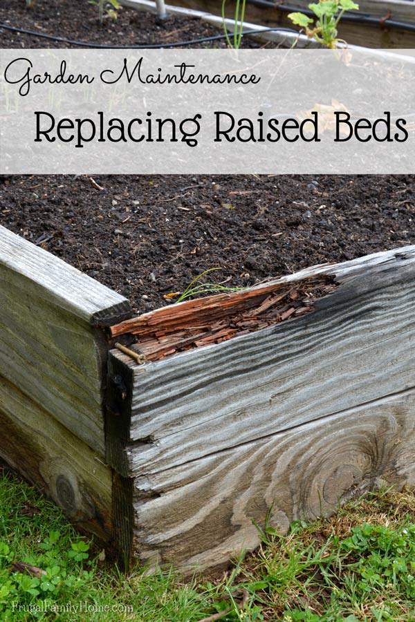 How we rebuilt our raised garden beds while the plants were growing. 